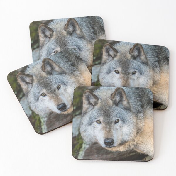 Item preview, Timber Wolf designed and sold by WolvesOnly.