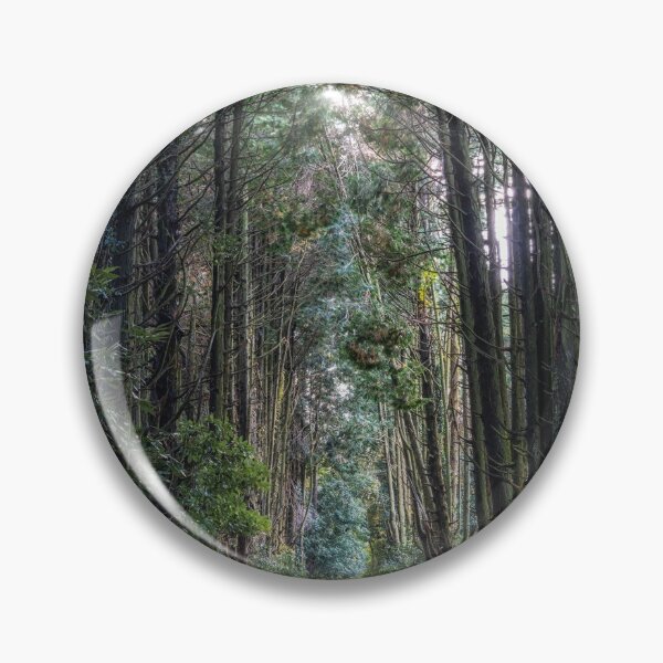Item preview, Jeju Island Secret forest cypress trees  designed and sold by aaronchoi.