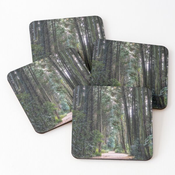 Item preview, Jeju Island Secret forest cypress trees  designed and sold by aaronchoi.