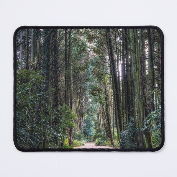 Item preview, Jeju Island Secret forest cypress trees  designed and sold by aaronchoi.