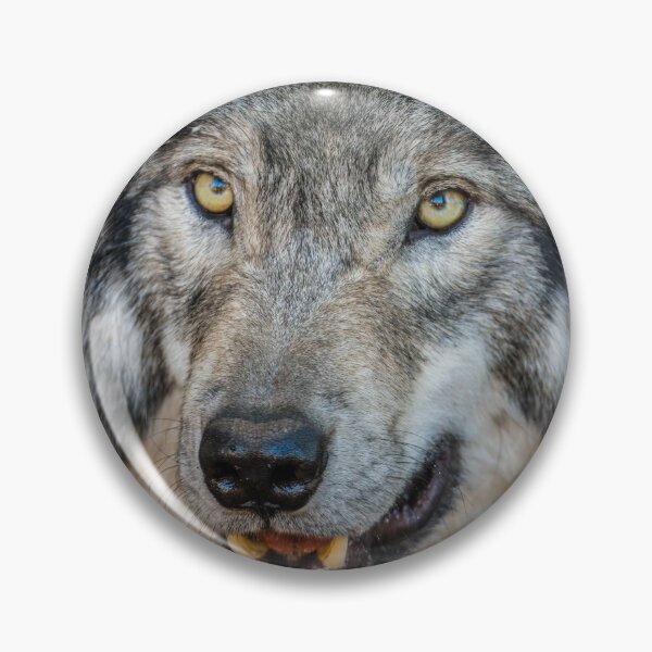 Item preview, Timber Wolf designed and sold by WolvesOnly.