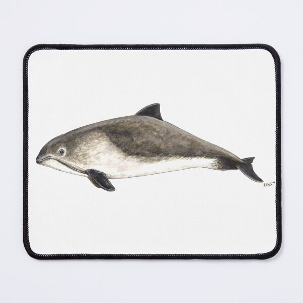 Item preview, Harbour porpoise Phocoena phocoena designed and sold by chloeyzoard.