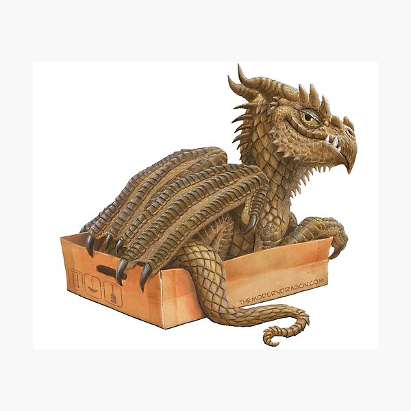 If it fits I sits- Dragon in a Box Photographic Print