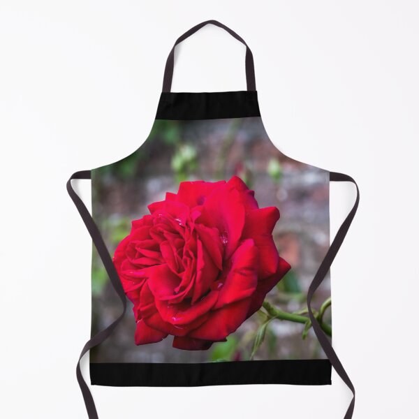 Item preview, Red rose and red brick wall designed and sold by AlbertMi.