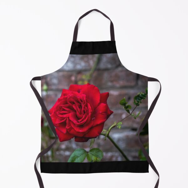Item preview, Red rose and red brick wall designed and sold by AlbertMi.
