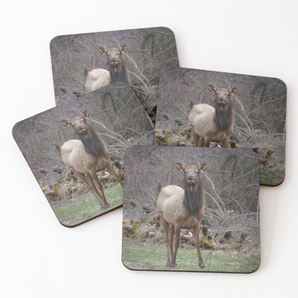 Item preview, Beautiful Cow Elk designed and sold by KC-IM.