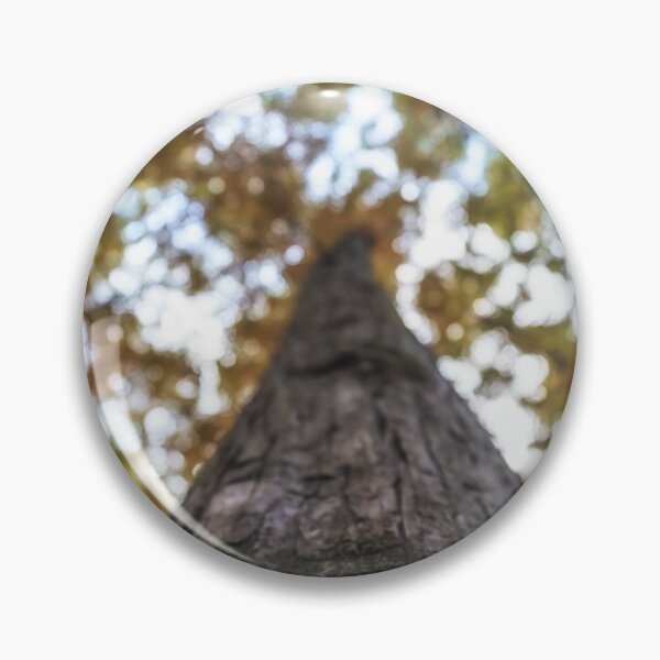 Item preview, Close up of Metasequoia Trees designed and sold by aaronchoi.