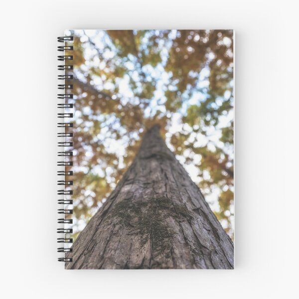 Item preview, Close up of Metasequoia Trees designed and sold by aaronchoi.