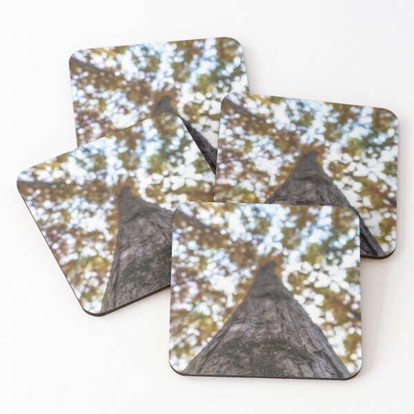 Item preview, Close up of Metasequoia Trees designed and sold by aaronchoi.