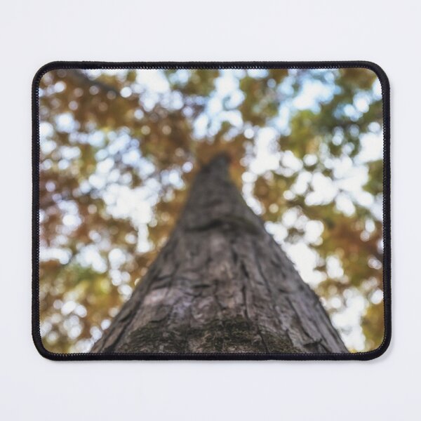 Item preview, Close up of Metasequoia Trees designed and sold by aaronchoi.