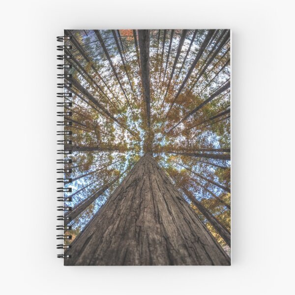 Item preview, Looking Up Metasequoia Trees designed and sold by aaronchoi.