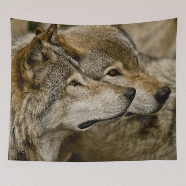 Tapestry