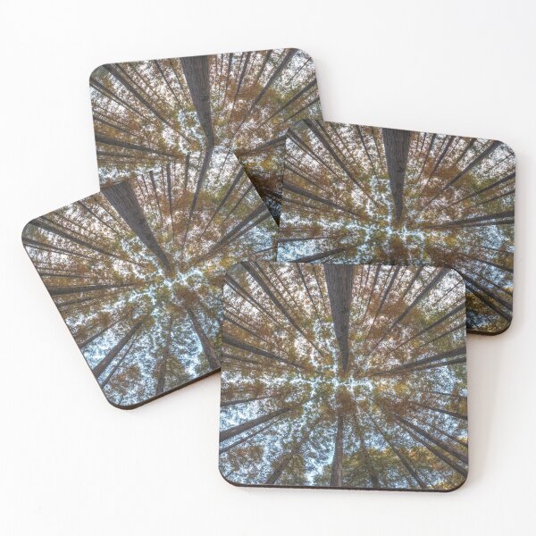 Item preview, Looking Up Metasequoia Trees designed and sold by aaronchoi.