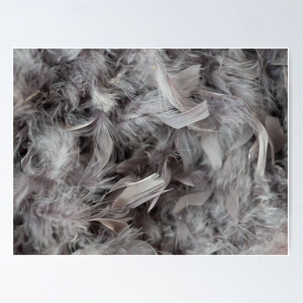 Item preview, Gray feathers, in delicacy and femininity designed and sold by PausePapote.