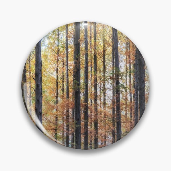Item preview, Metasequoia trees fall foliage designed and sold by aaronchoi.