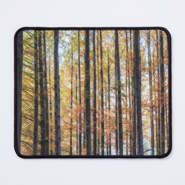 Item preview, Metasequoia trees fall foliage designed and sold by aaronchoi.