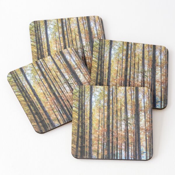 Item preview, Metasequoia trees fall foliage designed and sold by aaronchoi.