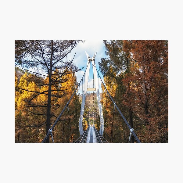 Item preview, Jangtaesan Recreational Forest Suspension Bridge designed and sold by aaronchoi.