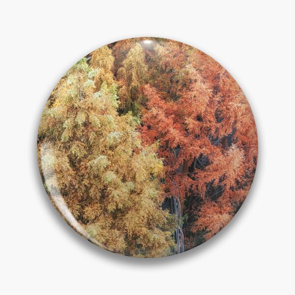 Item preview, Jangtaesan Recreational Forest Skywalk designed and sold by aaronchoi.