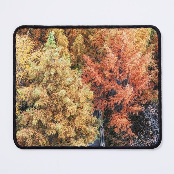 Item preview, Jangtaesan Recreational Forest Skywalk designed and sold by aaronchoi.