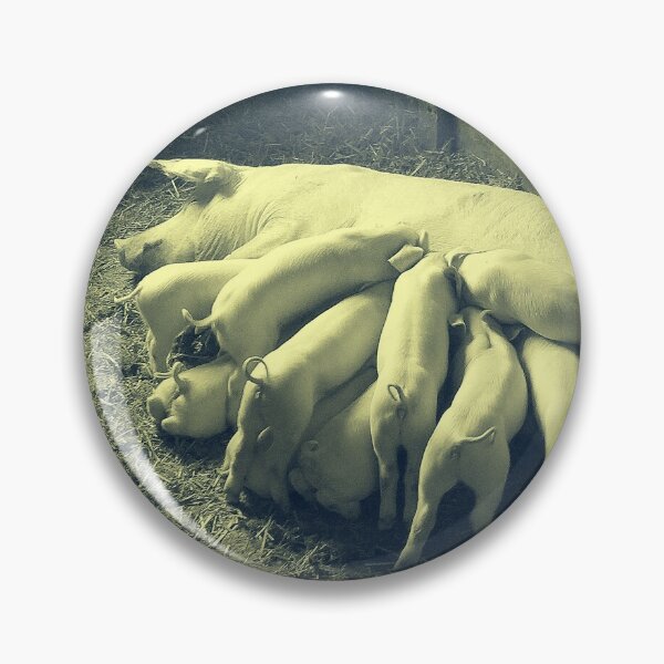 Item preview, Pig breastfeed little piglets Vintage Photo Print designed and sold by Pankas.