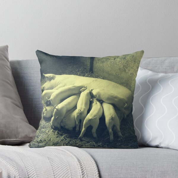 Item preview, Pig breastfeed little piglets Vintage Photo Print designed and sold by Pankas.