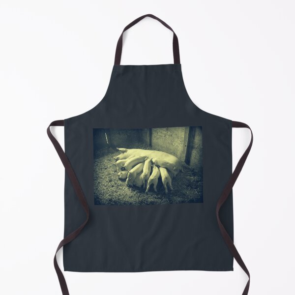 Item preview, Pig breastfeed little piglets Vintage Photo Print designed and sold by Pankas.