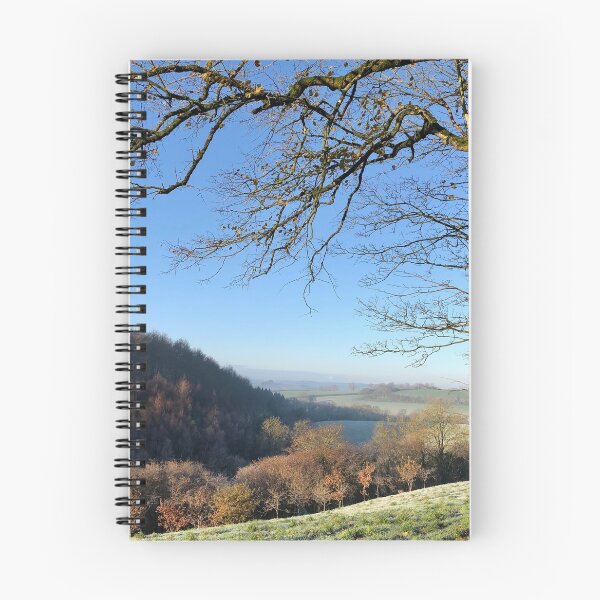 Aperçu de l'œuvre Frosty Rural North Devon créée et vendue par Jacqueline Le Sueur.