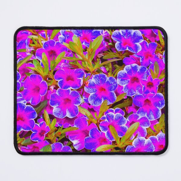 Item preview, Blooming Purple and Blue Petunia designed and sold by IraNiva.