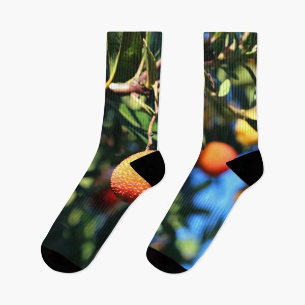 Item preview, The fruit of the strawberry tree in the autumn sun designed and sold by Sara Sanchez PHOTO.
