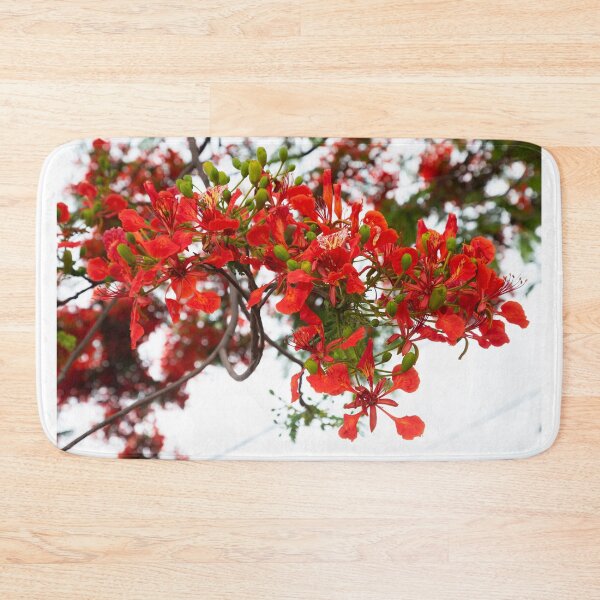 Item preview, Royal poinciana, (Delonix regia), also called flamboyant tree or peacock tree designed and sold by rajeshbac.