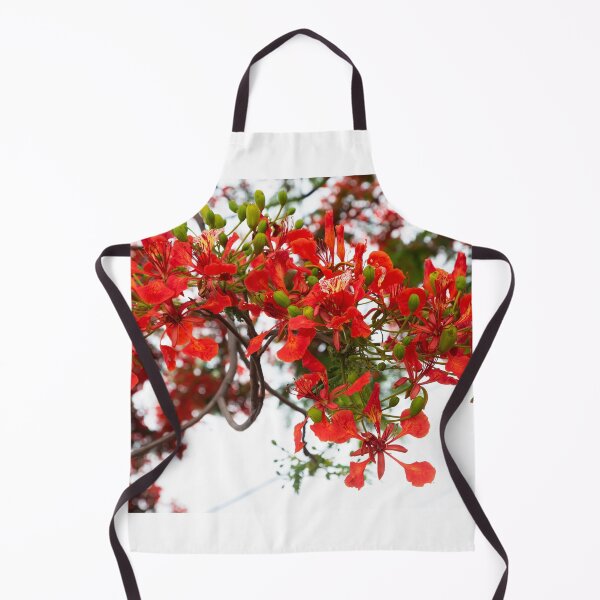Item preview, Royal poinciana, (Delonix regia), also called flamboyant tree or peacock tree designed and sold by rajeshbac.