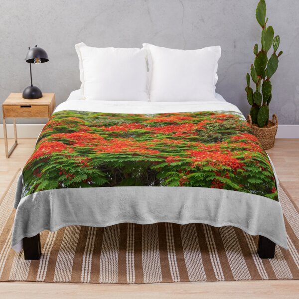 Item preview, Royal poinciana, (Delonix regia), also called flamboyant tree or peacock tree designed and sold by rajeshbac.