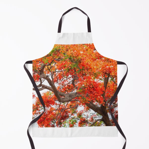Item preview, royal poinciana, (Delonix regia), also called flamboyant tree or peacock tree. designed and sold by rajeshbac.