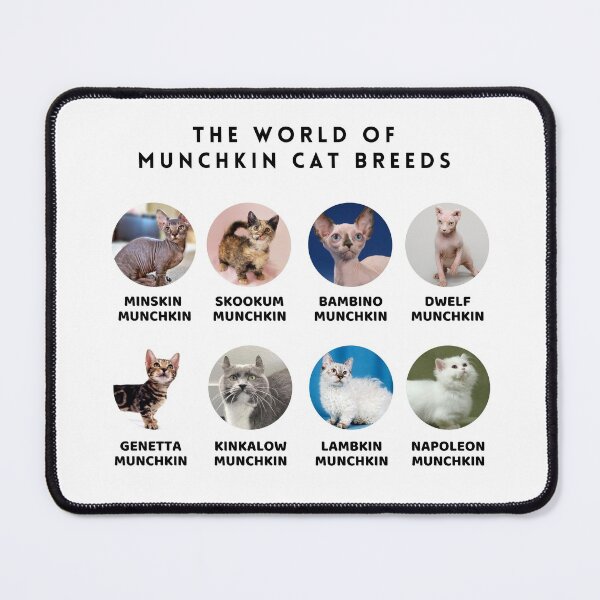 Item preview, The World of Munchkin Cat Breeds designed and sold by Myōhō Print Co..
