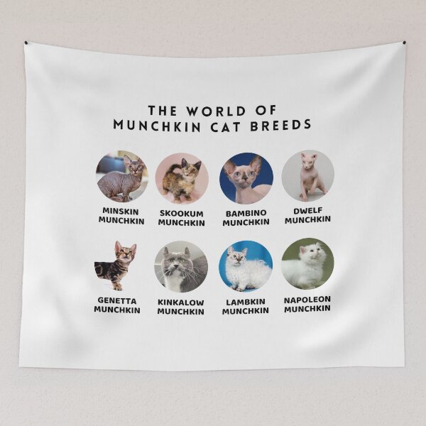Item preview, The World of Munchkin Cat Breeds designed and sold by Myōhō Print Co..