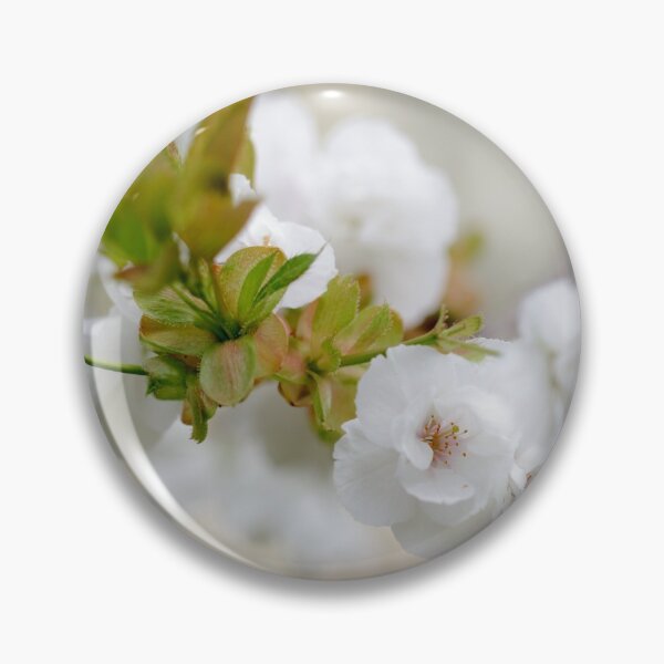 Artikelvorschau, Cherry Blossom entworfen und verkauft von heidipics.