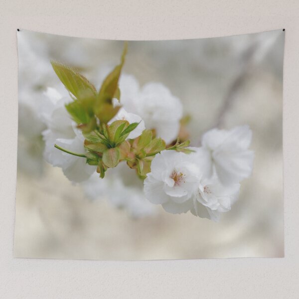Artikelvorschau, Cherry Blossom entworfen und verkauft von heidipics.