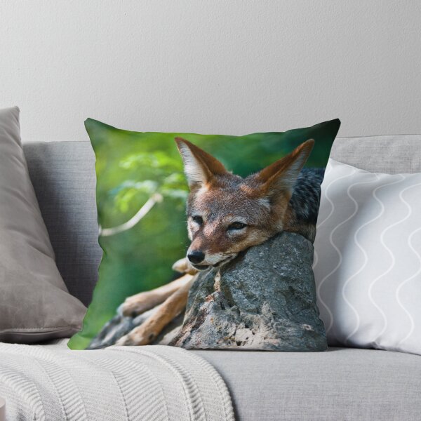 Item preview, Black-Backed Jackal designed and sold by Monika Hylmarová.