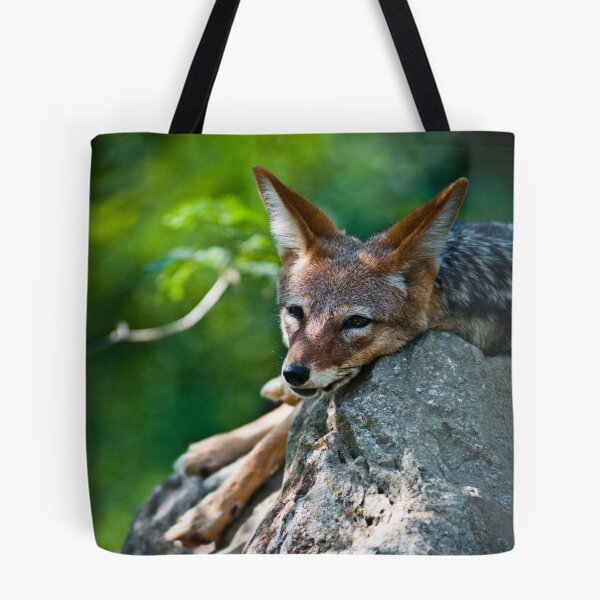 Item preview, Black-Backed Jackal designed and sold by Monika Hylmarová.