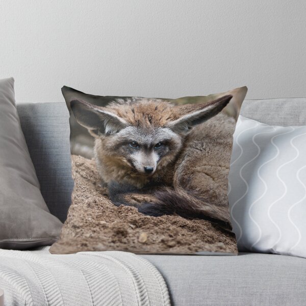 Item preview, Bat-Eared Fox designed and sold by Monika Hylmarová.