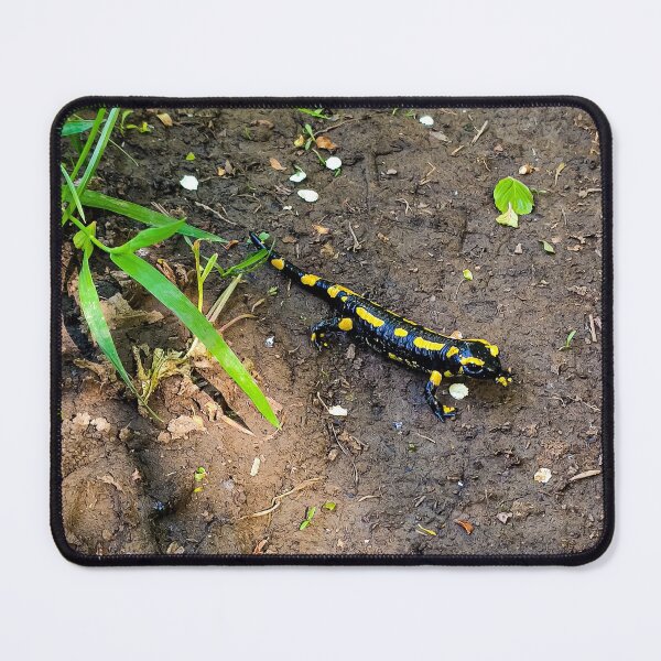 Item preview, salamander designed and sold by SandraGer.