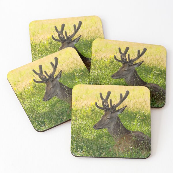 Item preview, #273 Red Deer Having a Lazy Day at Wollaton Hall Deer Park, Nottingham designed and sold by phutball.