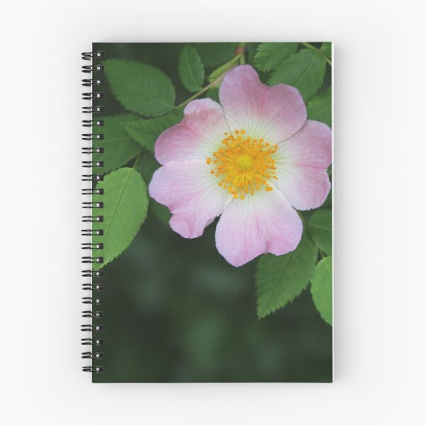 Item preview, Pale Pink Briar Rose designed and sold by Joan van der Wereld.