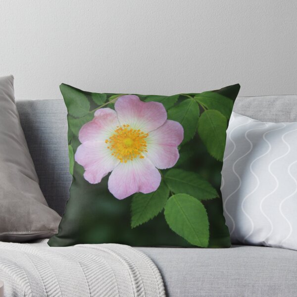 Item preview, Pale Pink Briar Rose designed and sold by Joan van der Wereld.