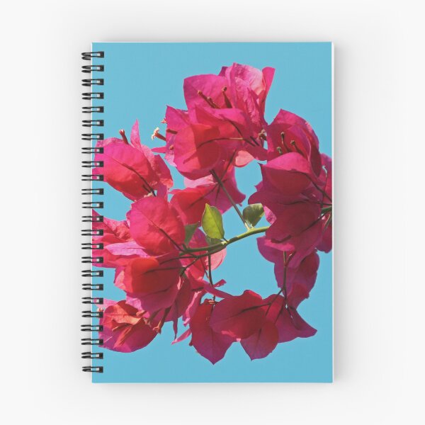 Artikelvorschau, Bougainvillea-Blumen gegen blauen Himmel entworfen und verkauft von Joan van der Wereld.