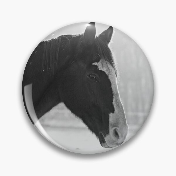 Item preview, Presence of Healing B&W (Photography) designed and sold by Lori Ackley.