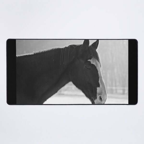 Item preview, Presence of Healing B&W (Photography) designed and sold by Lori Ackley.