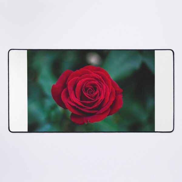 Item preview, Beautiful Red Rose designed and sold by newburyboutique.