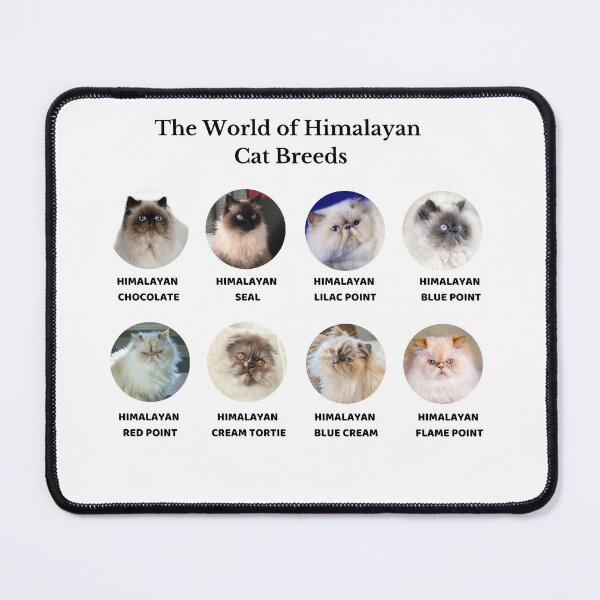 Item preview, The World of Himalayan Cat Breeds designed and sold by Myōhō Print Co..